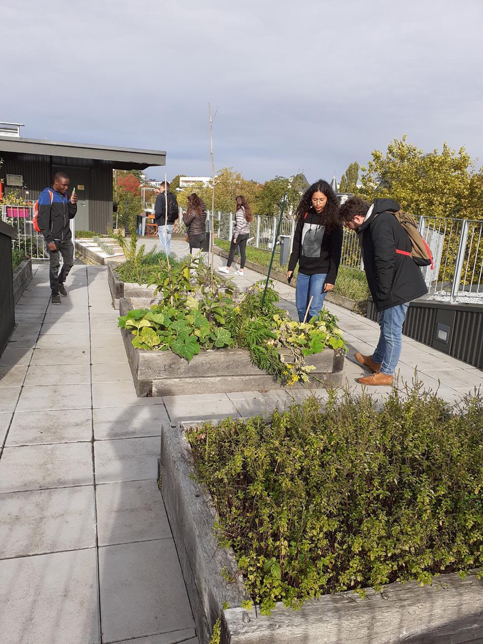 La Terrasse du centre social DIDEE à Lormont