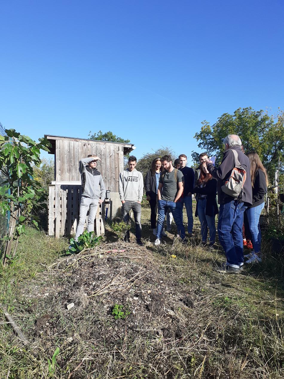 La permaculture aux jardins familiaux de Baugé