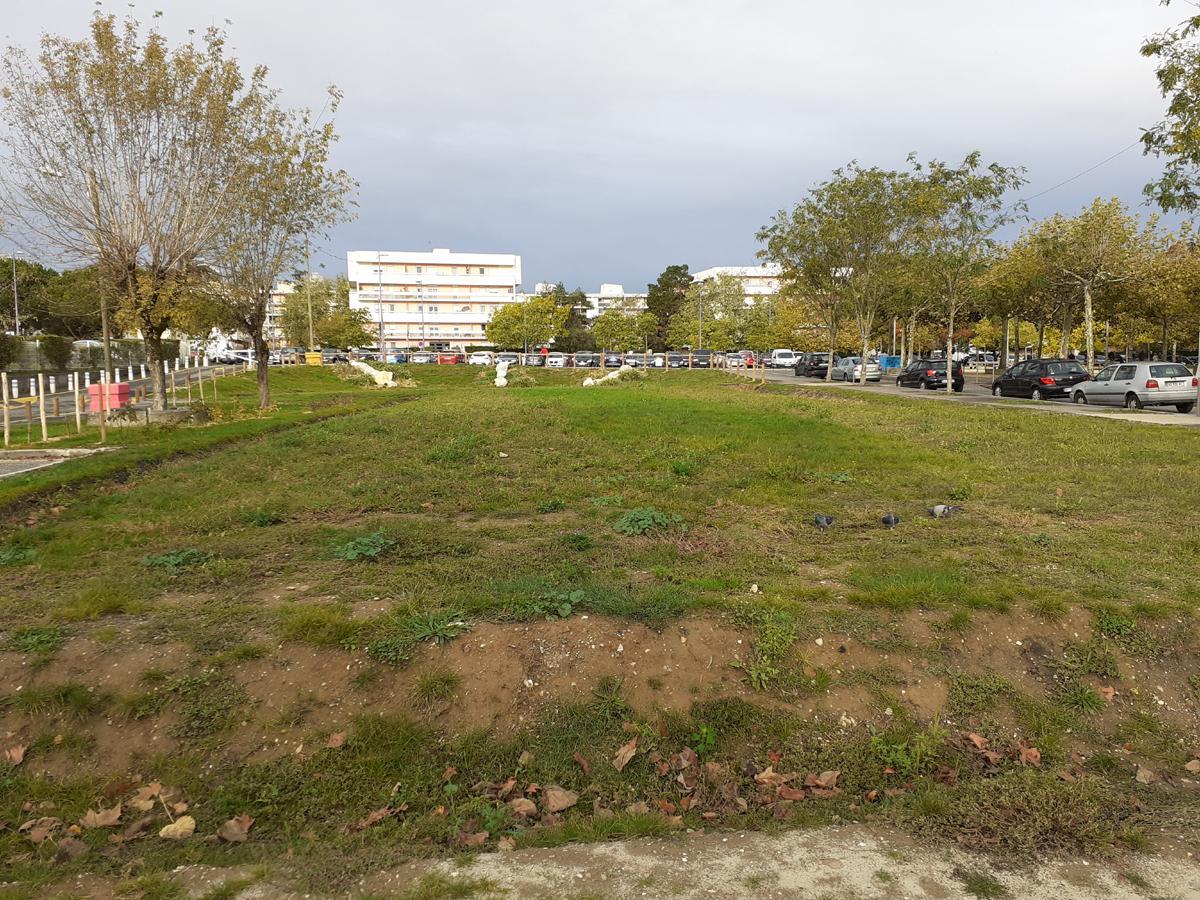 Le projet de jarins partagés de la ville de Lormont