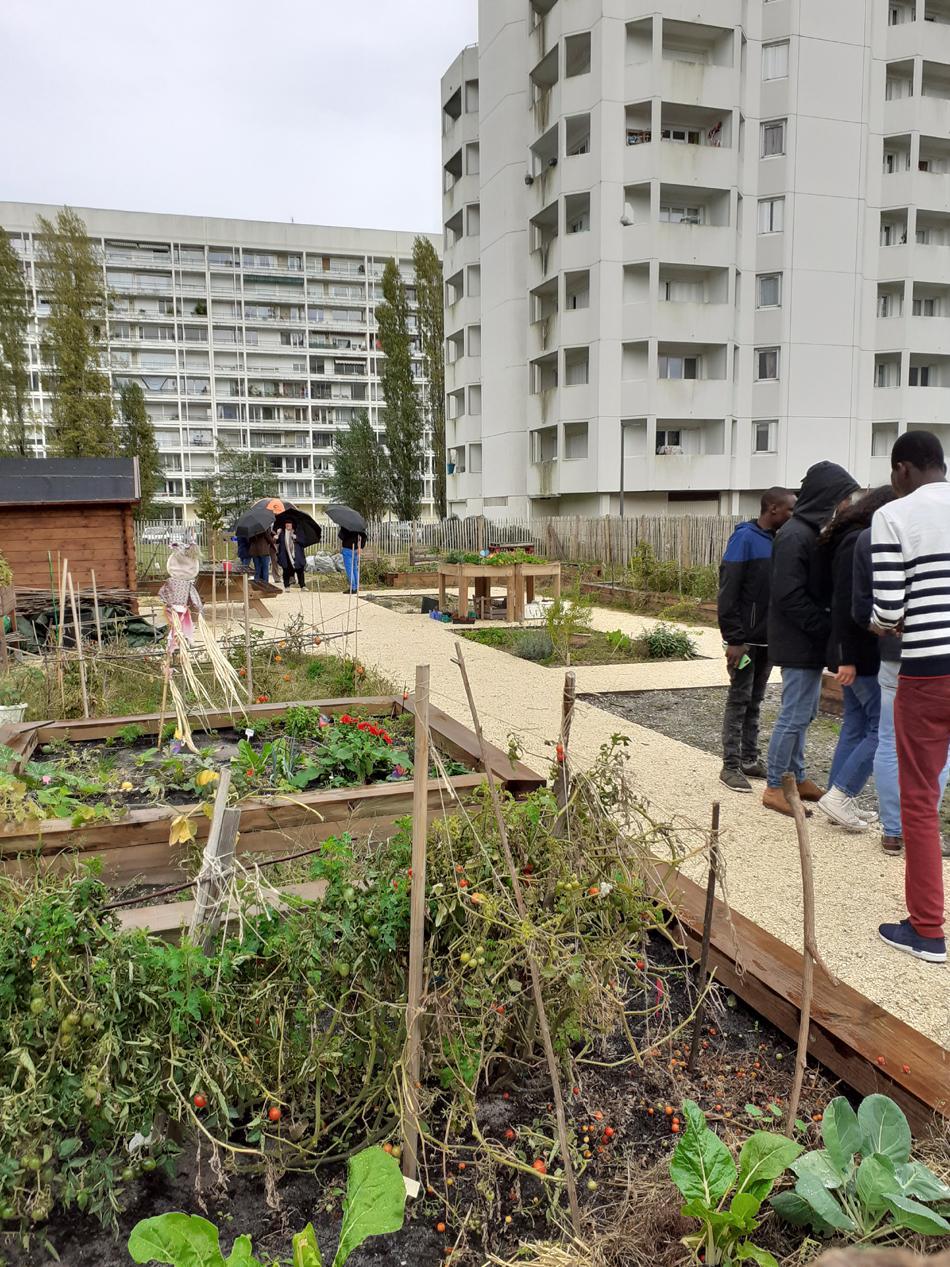 Les jardins partagés de Capeyron