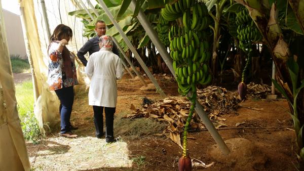 Accueil à lITSA Ouled Teima 10