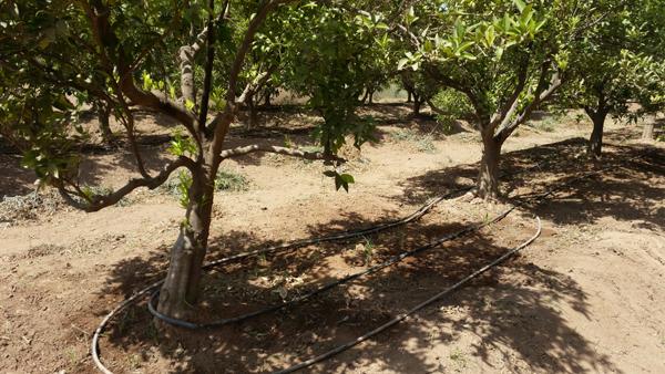 Accueil à lITSA Ouled Teima 10