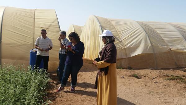 Visite dune Cooperative Agriole bioTOUZAIKO 8