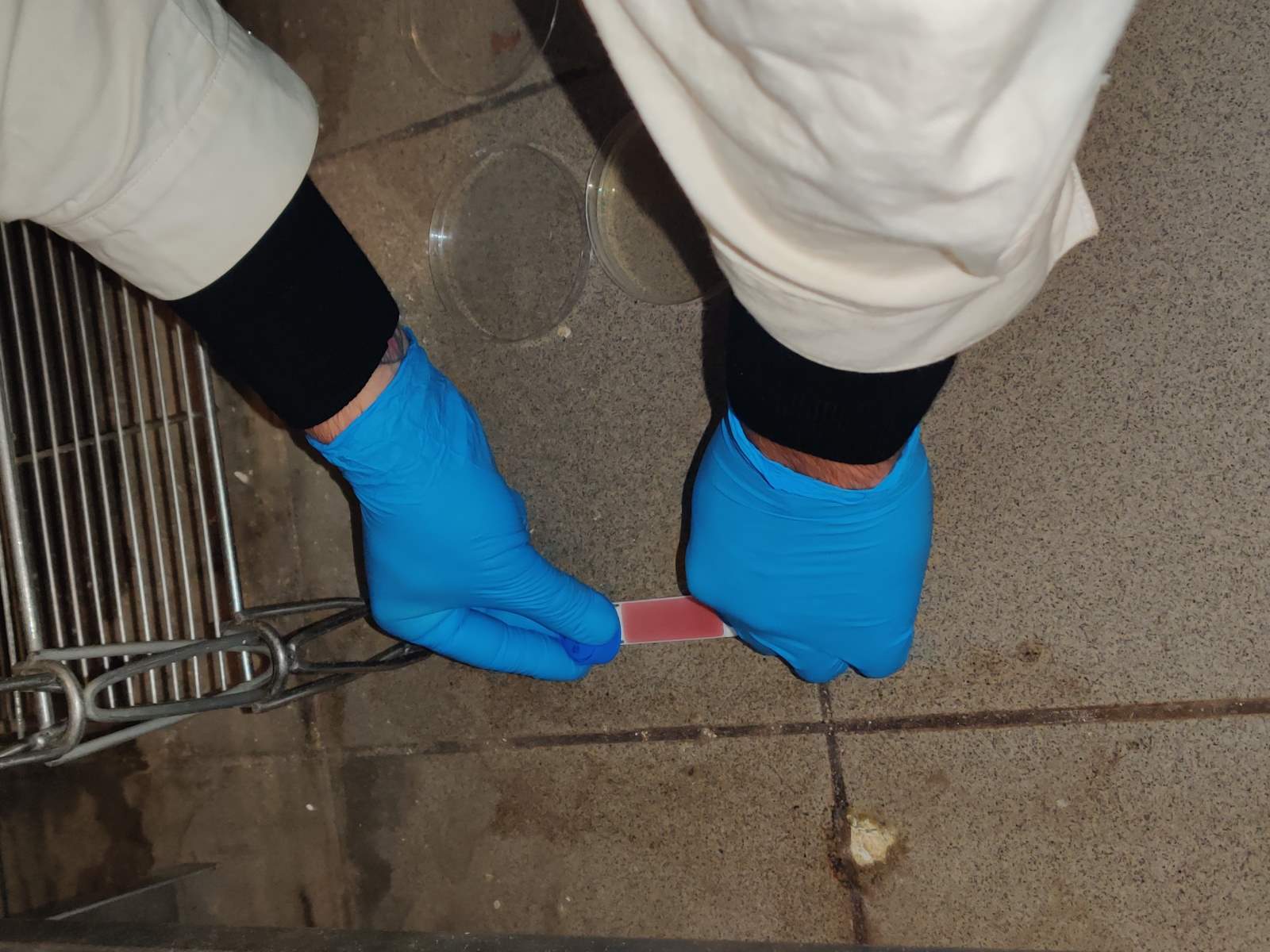 IMG 20191002 1048321