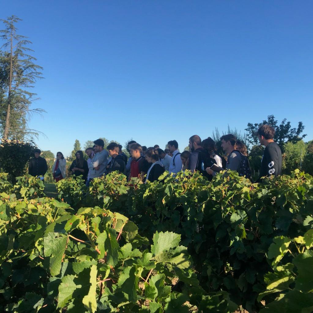 SAVE 20190919 172055