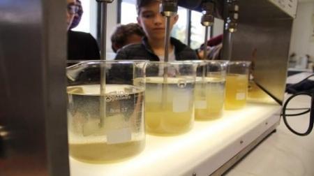 73176365 694899737676788 5921636080041328640 n