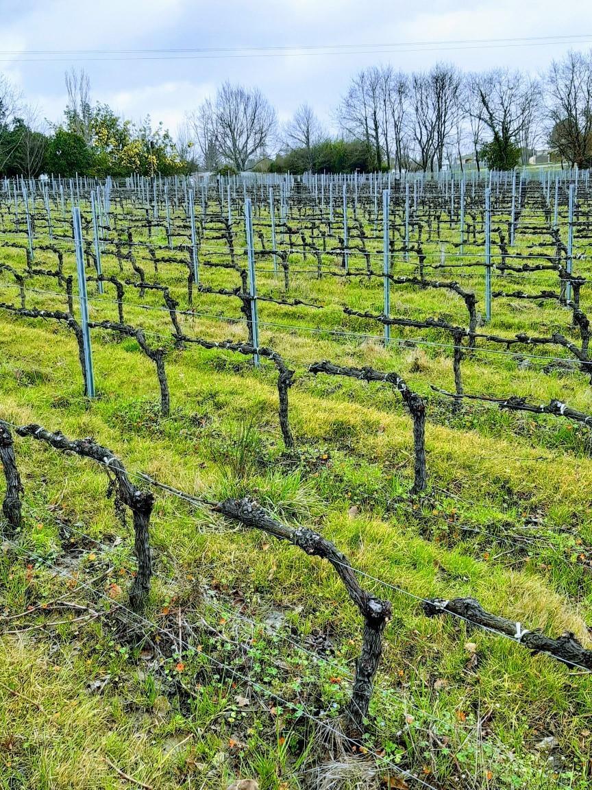 thumbnail SAVE 20200214 152330