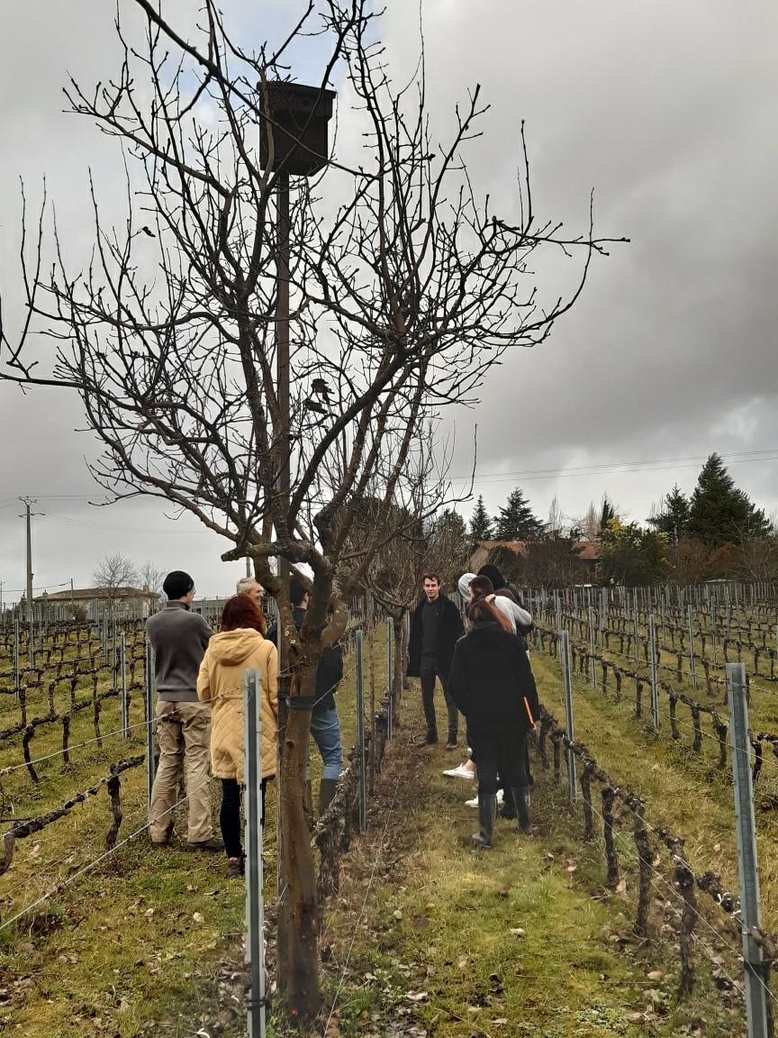 thumbnail SAVE 20200214 152330