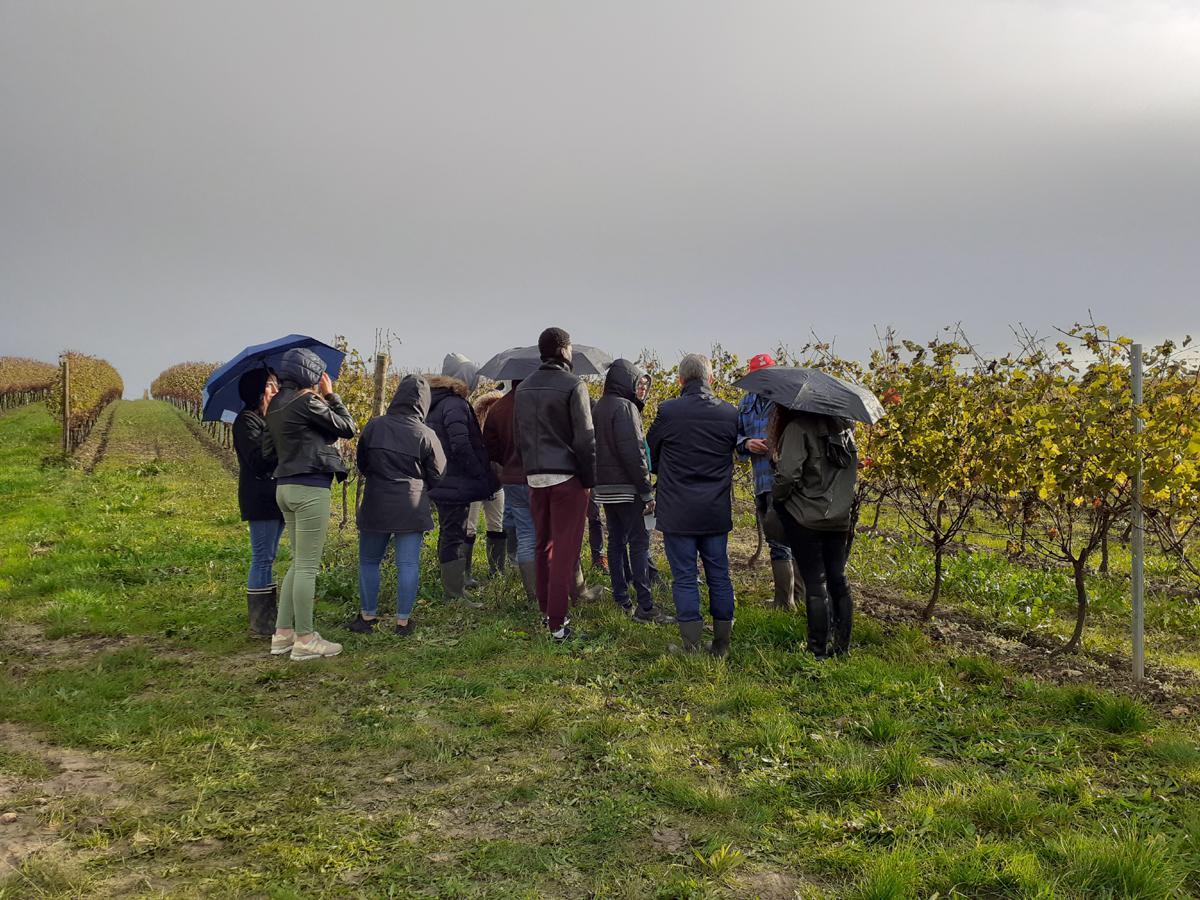 Les pratiques culturales