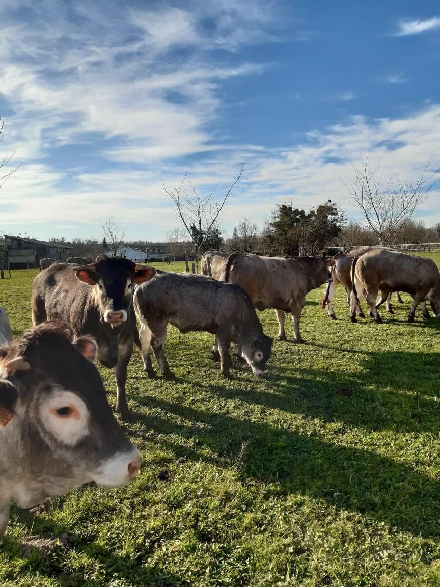 thumbnail SAVE 20200120 114309