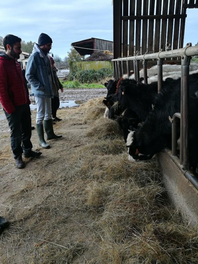 thumbnail SAVE 20200203 145634