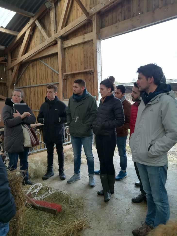 thumbnail SAVE 20200203 145634