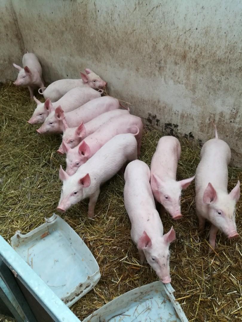 thumbnail SAVE 20200203 145634