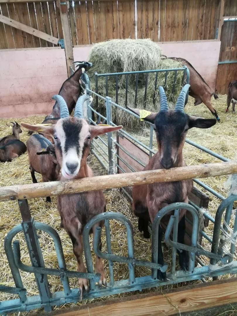 thumbnail SAVE 20200203 145634