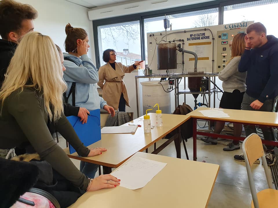 84298337 2743601295695184 7781408158169169920 n