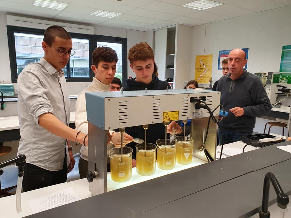 83312679 2743600889028558 7747184900976934912 n