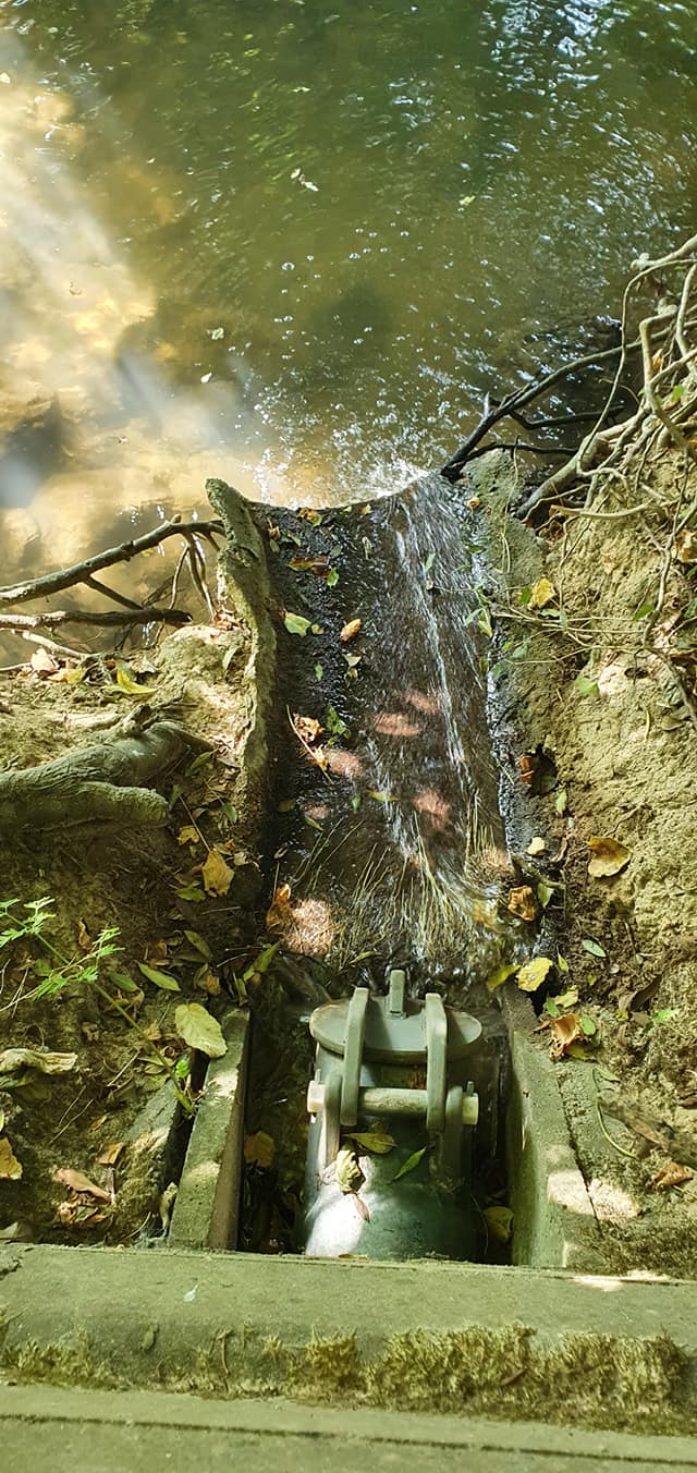 119729783 958938731272886 9104641084087292912 o