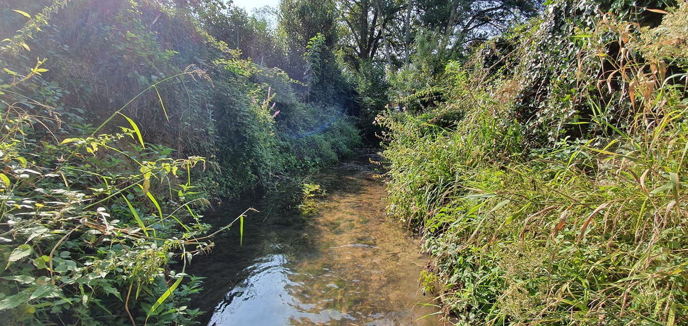 119936426 958939377939488 3023974671183464381 o