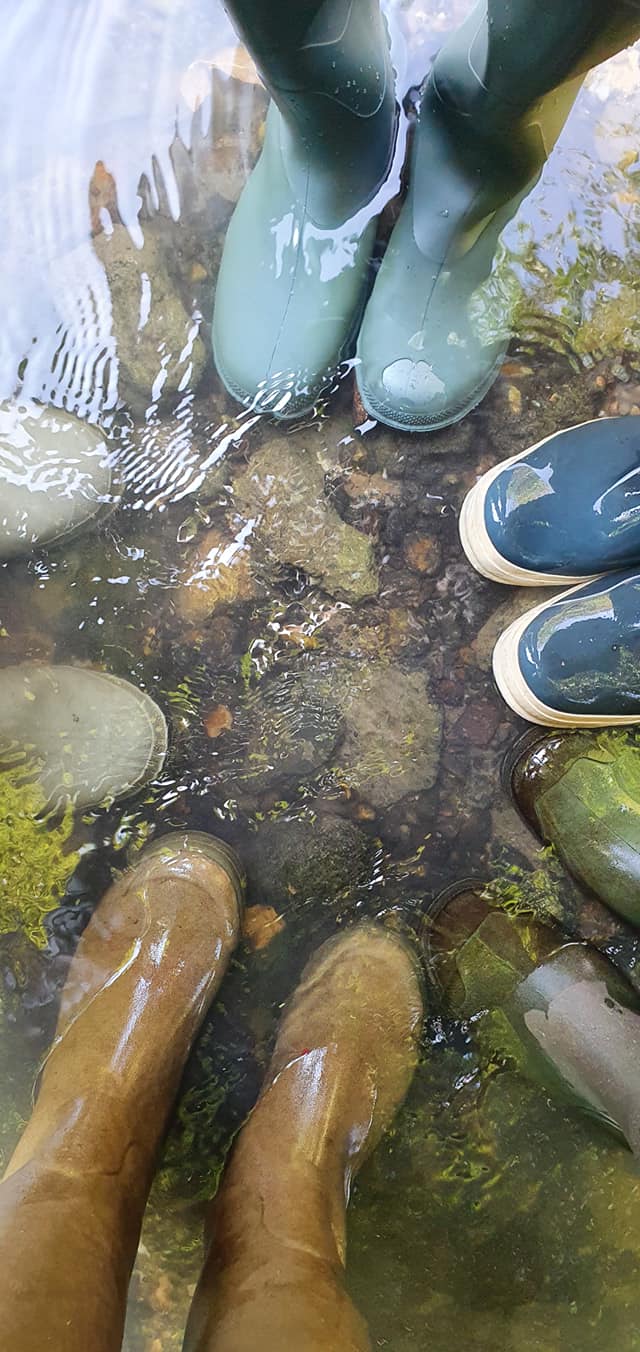 119962807 958939231272836 4460901988597491614 o