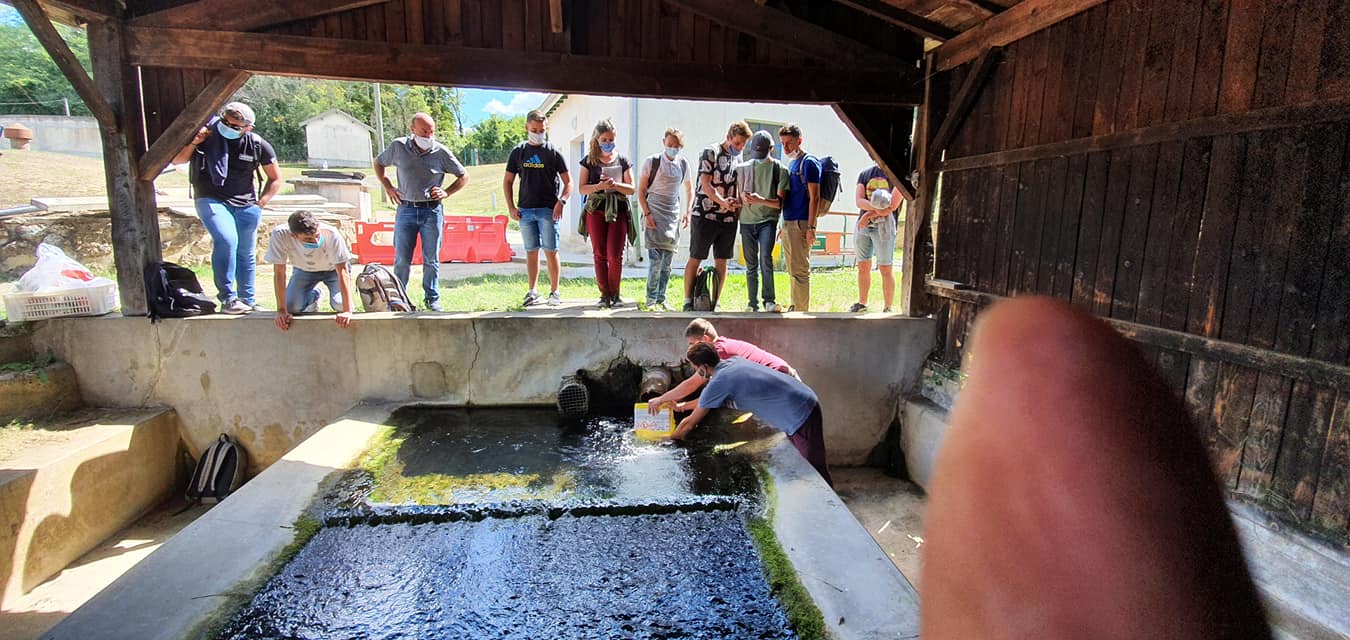 119238781 953236711843088 2052711071622163323 o