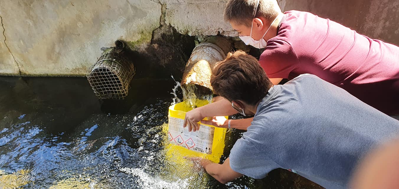 119461824 953236658509760 8241542542396877969 o