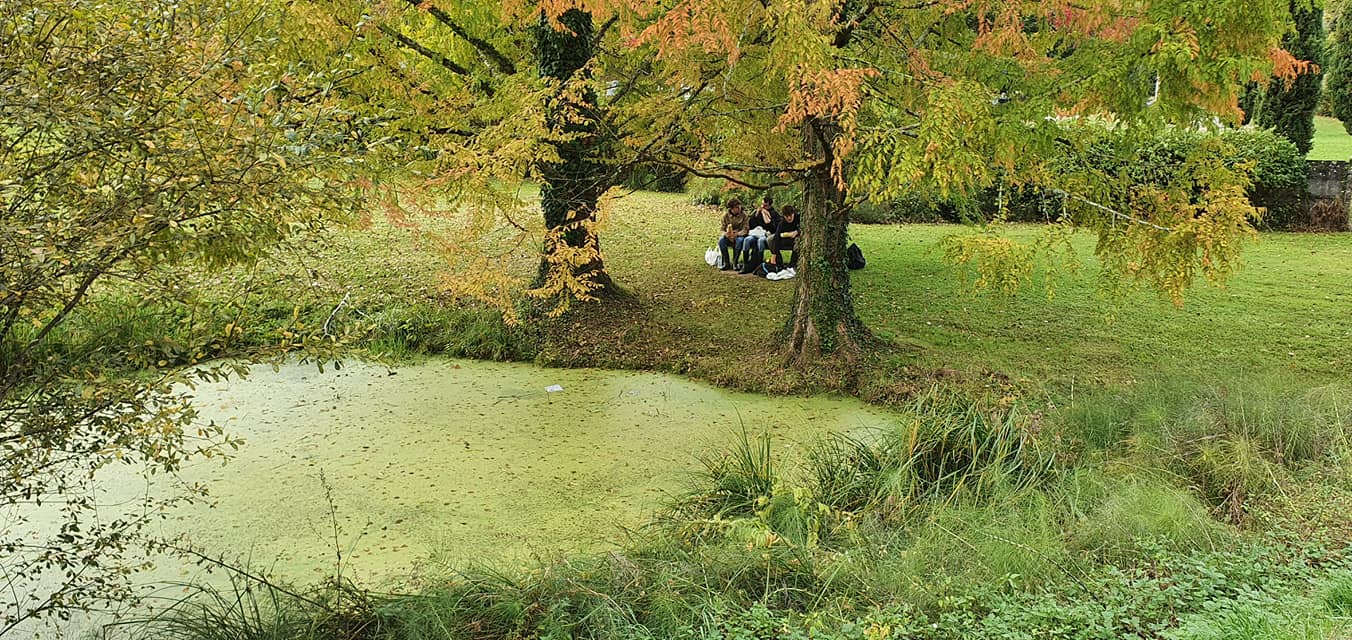 248093574 1230735760759847 6169714078141209916 n