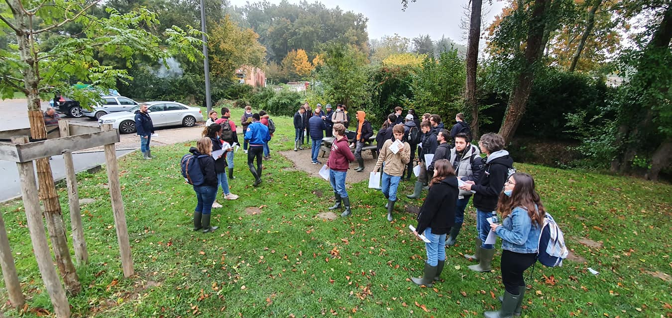 248794362 1230735240759899 8363853465886515482 n