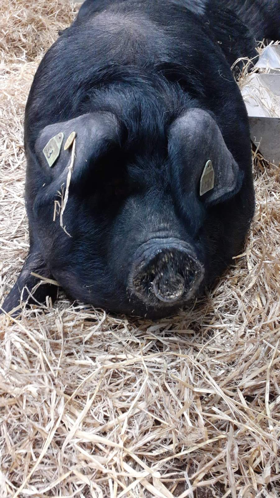 62ed91a6 6b51 4d76 a10b 57df72ef1416