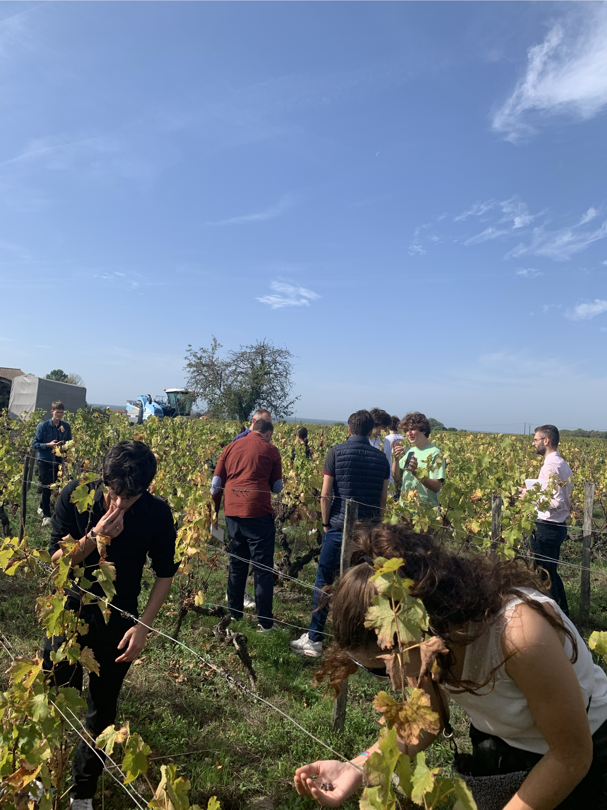 Illustration sans titre1