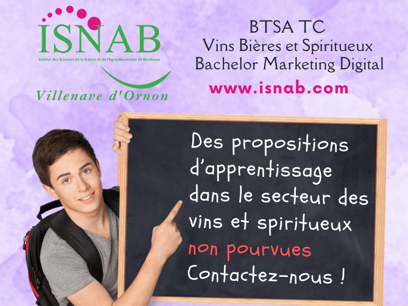 Bandeau ActuBordeaux2