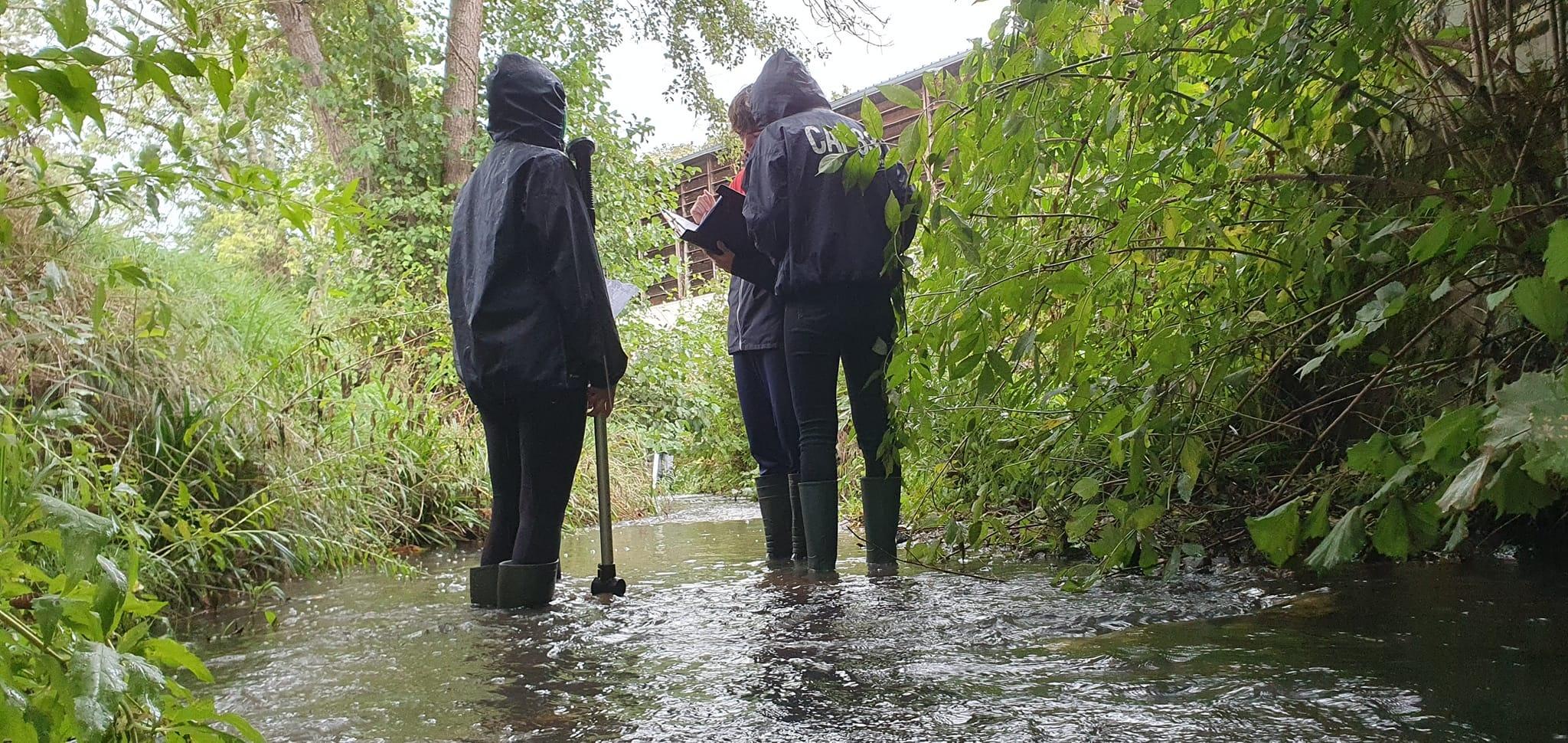 394900017 1709181386248613 306008545353622997 n