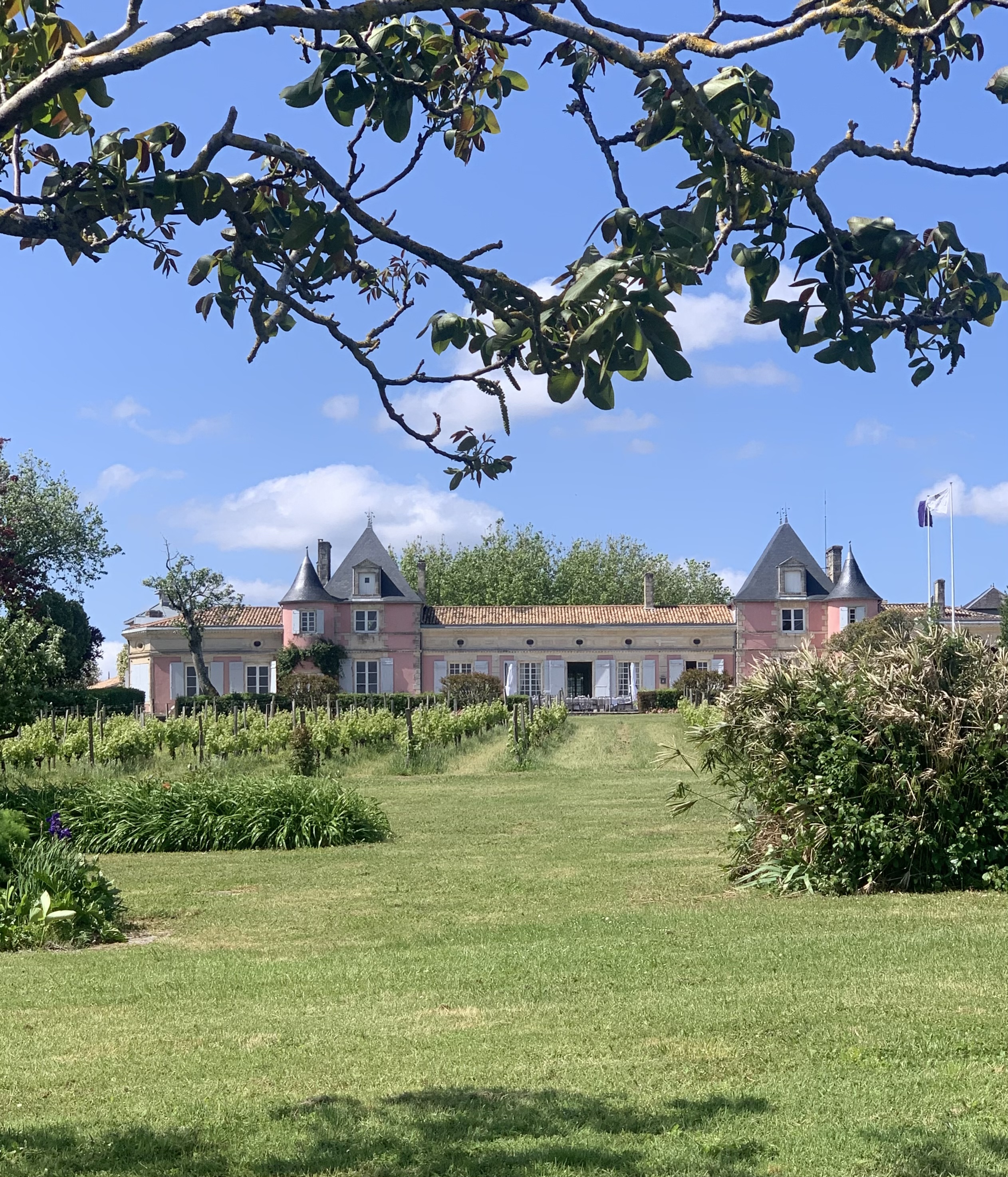 23979190 B08A 43E2 B12F 91026241F3E7