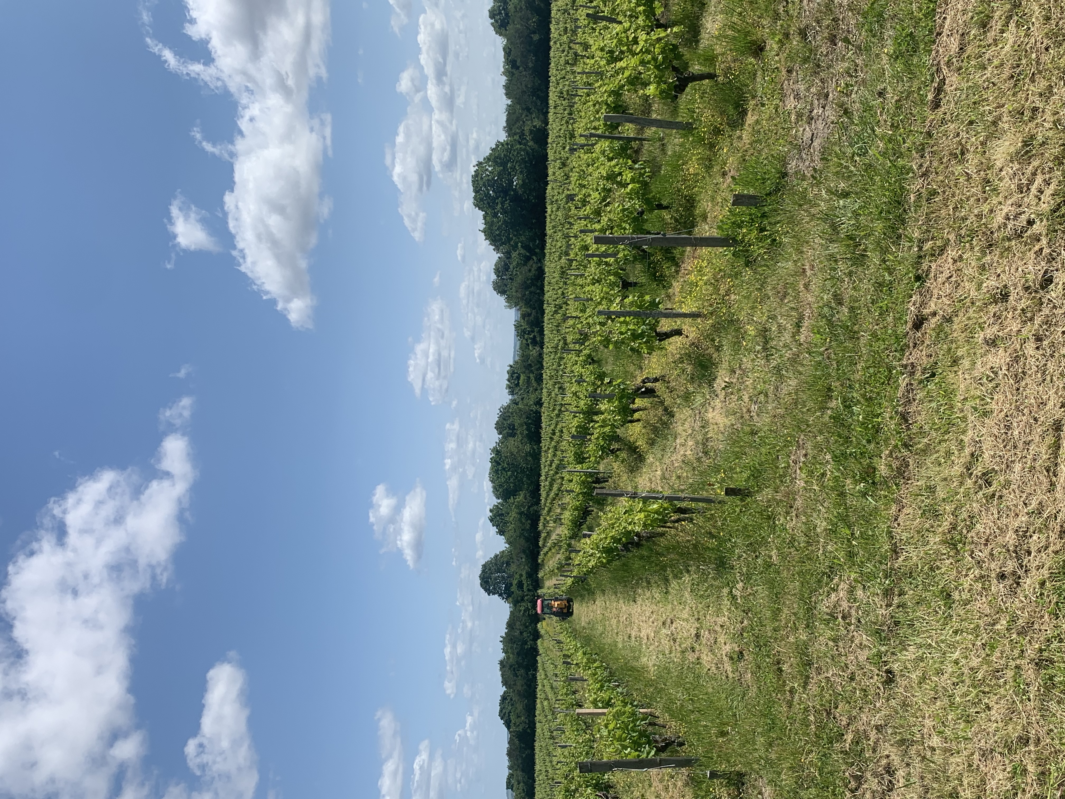 330A8AC6 C968 4A8D 8627 F388851E6A7E