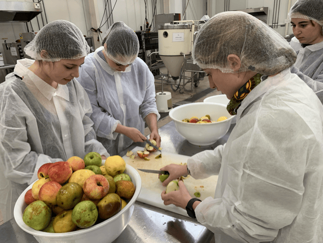 thumbnail IMG 2112 1 Moyenne