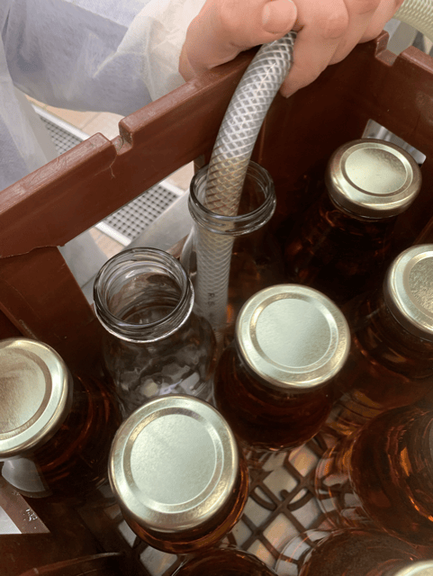 thumbnail IMG 2148 2 Moyenne