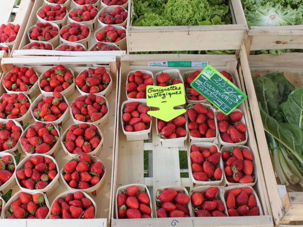 La verriere gourmande 069