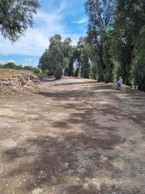 WhatsApp Image 2024 04 07 at 11.36.04