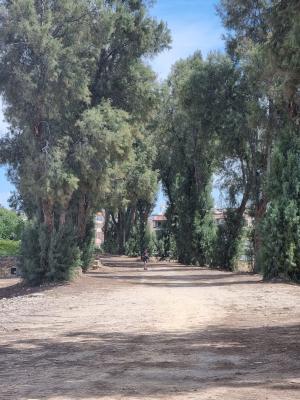 WhatsApp Image 2024 04 07 at 11.38.59 1