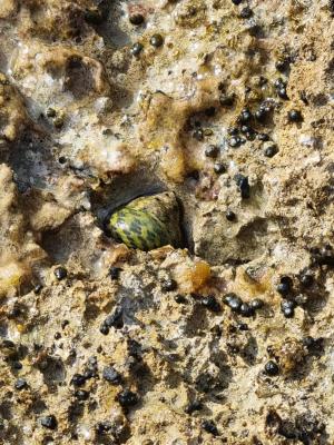 WhatsApp Image 2024 04 07 at 16.37.26