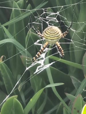 WhatsApp Image 2024 04 07 at 16.37.26 2