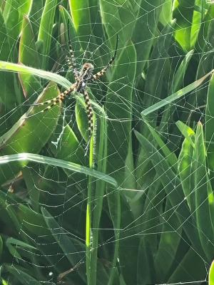 WhatsApp Image 2024 04 07 at 16.37.27