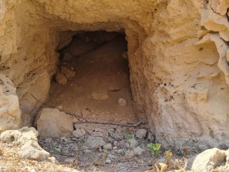 WhatsApp Image 2024 04 07 at 11.38.56