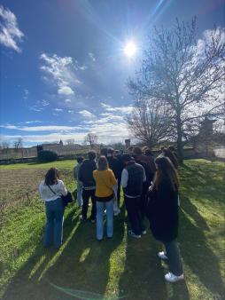 processed 71D1BE8F 1C4C 4A8E 8338 2926D6E9E4F7