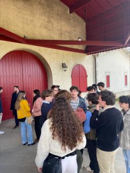 processed FC7751AC EB35 4489 994A E7D0540CA220