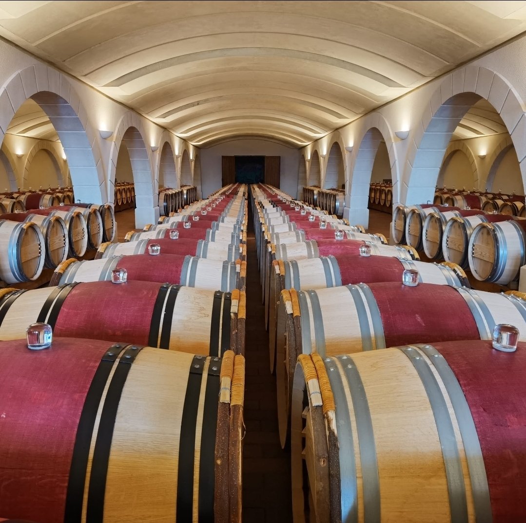 Screenshot 20240313 153127 WhatsApp