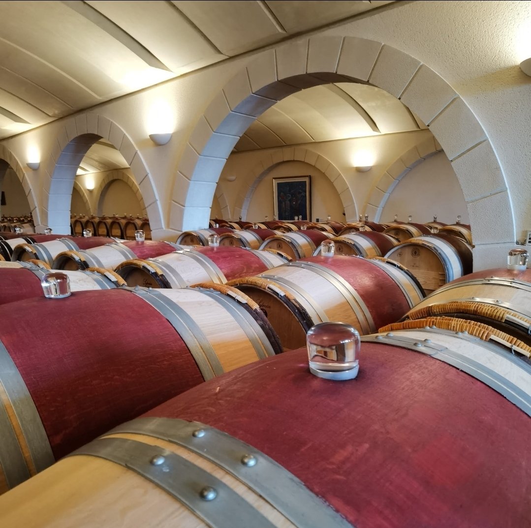 Screenshot 20240313 153139 WhatsApp