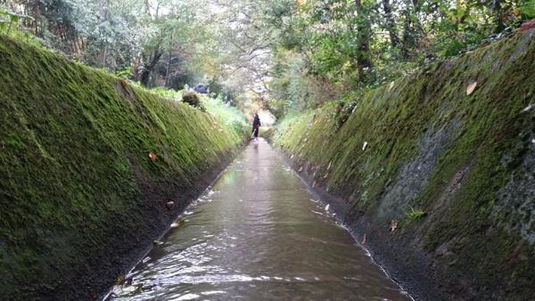 46350771 499507757215988 6299309742837727232 n