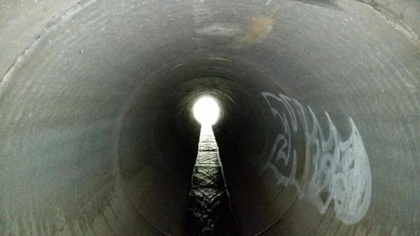 46354722 499507610549336 4496583523414573056 n