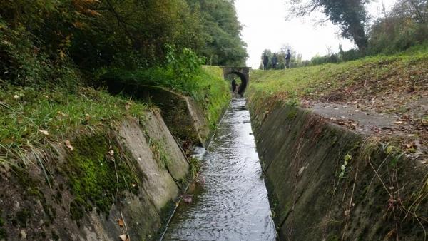 46388934 499507720549325 3257570881123123200 n