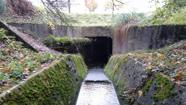 46432609 499507553882675 8323267747697917952 n